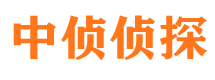 镜湖侦探